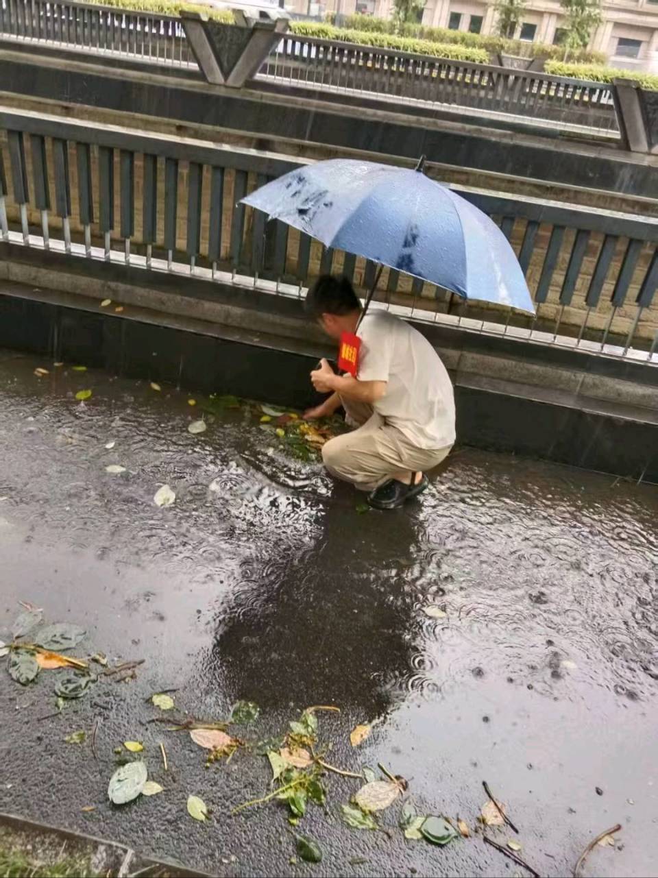 志愿者, 都城市形象, src