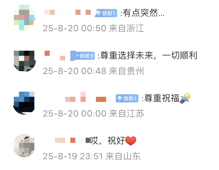 军宣布分手, 娅比安赛龙, 曝出安赛龙