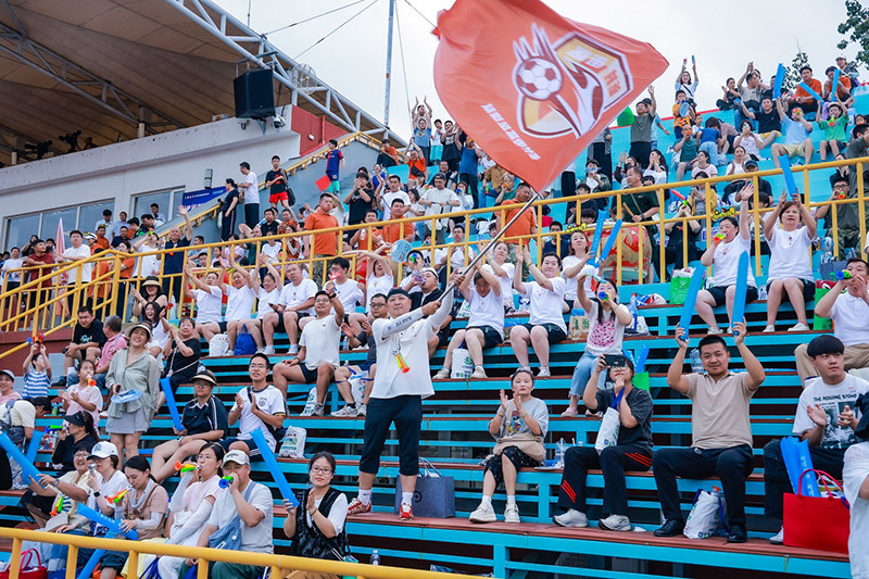 msn, 以文, 不时融入对 msn, 以文, 不时融入对