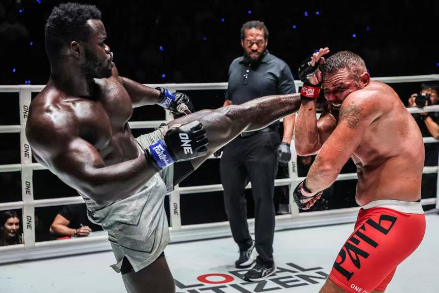 这位深受拳, FcMEA